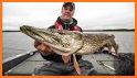 Pike Outdoors related image