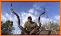 Safari Hunting 2019 related image