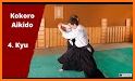 Aikido Test 4 kyu related image