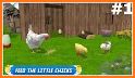 New Hen Family Simulator: Chicken Farming Games related image