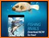 Fishing Rivals : Hook & Catch related image