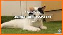 Rensselaer Pet Care related image