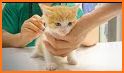 Heroes Veterinary Hospital related image