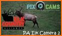 Elk Camera related image