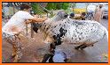 Eid Qurbani Photo Frame HD 2021 related image