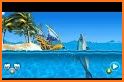 Tropical Island Boat Racing related image