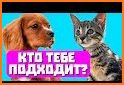 Тест: Какое Ты Животное related image