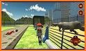 Animal Zoo Construction Simulator related image