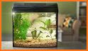 Word Aquarium:Word Connect vs Fish Farming related image