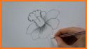 How To Draw Flowers related image