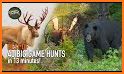 Wild Deer Hunt: Animal Hunting related image