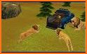 Wild Lion City Rampage: Animal Attack Games related image