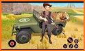 Wild Jungle Animal Hunter: Safari Hunting Games related image