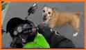 Lucky Rider - Crazy Moto Racing Game related image