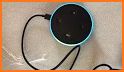 Alexa App & Echo setup related image