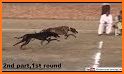 Wild Animals Racing: Racing Battle 2019 related image