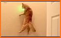 Laser Pointer Animals Joke related image