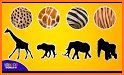 Zoo Animal Fun Game related image