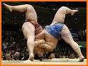 Sumo Wrestling 2020: Live Fight Arena related image