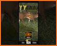 New Big Buck Hunter Marksman walkthrough related image