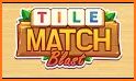 Tile Match Blast - New Block Puzzle related image