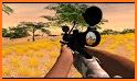 Wild Animal Safari Hunting 3D:Sniper Shooting Game related image