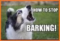 Anti Stop Dog Barking:Stop Dog Whistle Barking related image