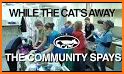 Community Vet Clinic MKE related image