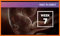 Pregnancy and what to expect week by week related image