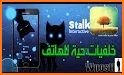 Stalker Cat Live Wallpaper related image