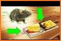 Home Rat simulator related image