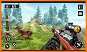 Wild Animals Hunting Safari Shooting Game related image