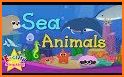 Sea Animals - DuDu Kids多多海洋动物 related image