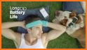 Banfield Pet Health Tracker related image