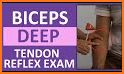 Reflex Task related image