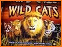 Slot Machine : Wild Cats related image