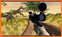 Animal Hunting: Safari 4x4 armed action shooter related image