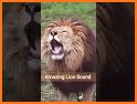 Free animal sounds: real animal noises & pictures related image