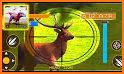 Wild Animal Hunting Games 2021: FPS Animal Hunter related image