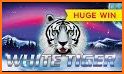 Slots Tiger King Casino Slots related image