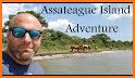 Assateague HorseID related image