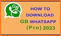 GB Wastspp Version Pro 2021 related image