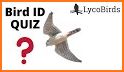 North American Bird ID Quiz related image