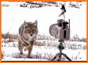 Predator Hunting Calls PRO related image