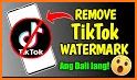 TikSaver : Watermark remover related image