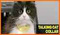 Cat Translator related image