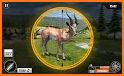 Deer Hunt Wild Animal Shooting Games 2021 related image