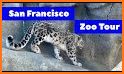 San Francisco Zoo related image