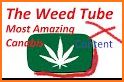 TheWeedTube related image