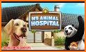 Pet World – My Animal Hospital – Care for animals related image